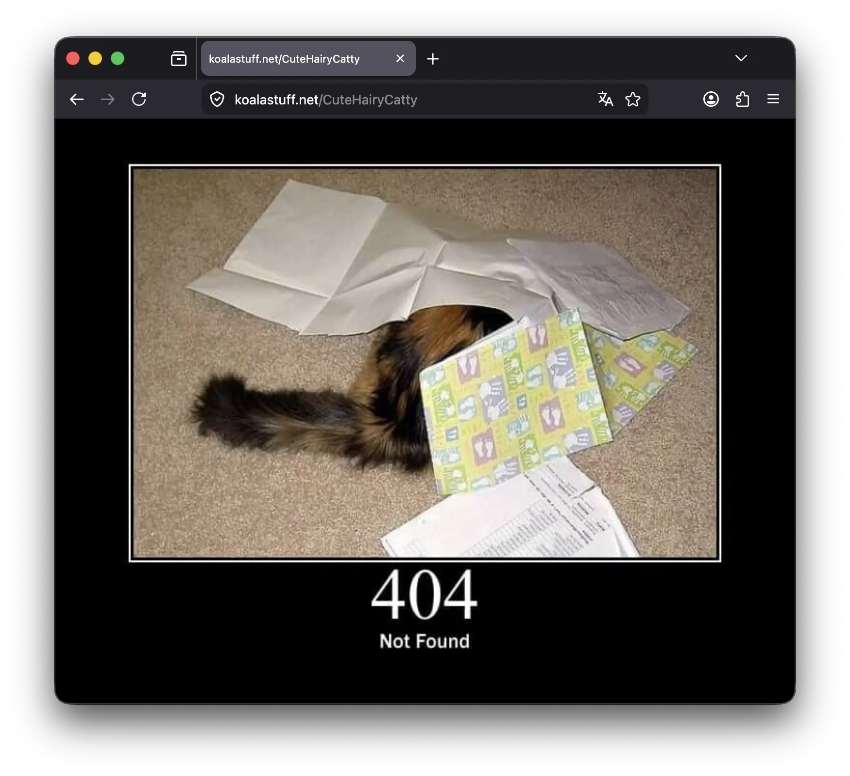 http.cat error example